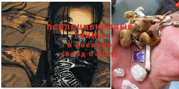 мескалин Алексин