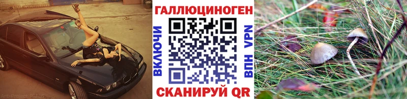Псилоцибиновые грибы Cubensis Карабаш